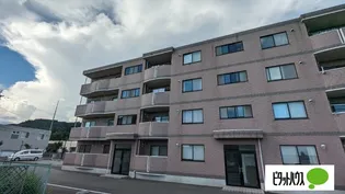 クイーンさくらの画像