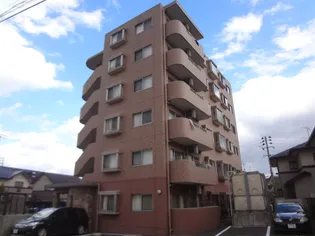 フォレスト愛子の画像