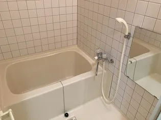 サウザンドリーフB【2階】の風呂