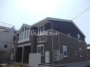 フローラ ひまわりの画像