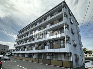 LIMPIA ORILLA野口の画像