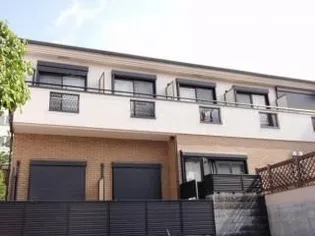 コウシンソウの画像