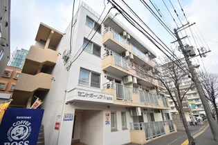 セントポーリアフランの画像