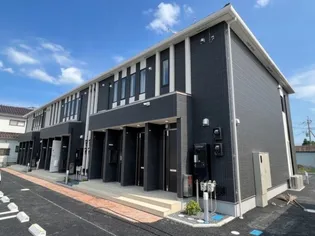 ステラートIIIの画像