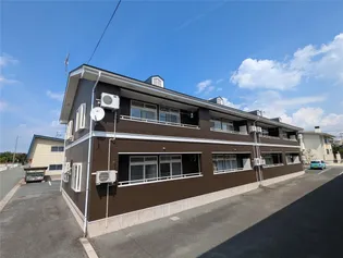 カミングセンチュリーの画像