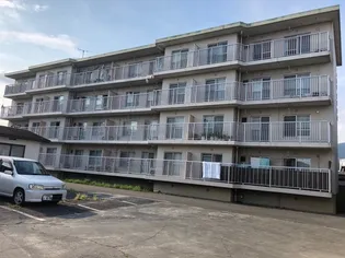 メゾンポレールの画像