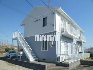 ステラ大草の画像