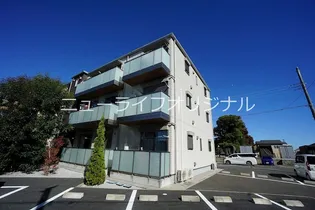 ヒメシャラの画像