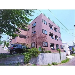 セレッソ菜根の画像