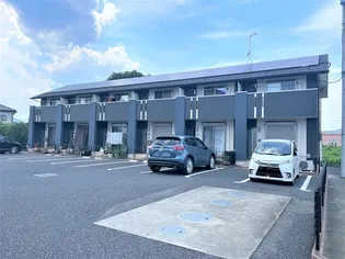 サザンクロスの画像