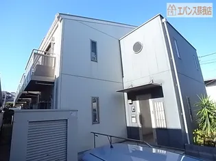 プラシスの画像