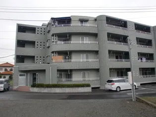 ヴィラ大国 NO2の画像