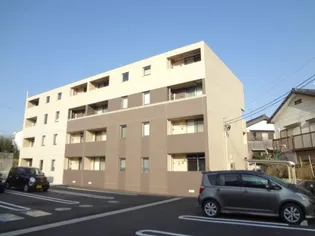 キーウィの画像