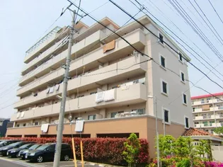 アウラ10の画像
