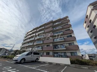 TーONE MIYAHARA WEST Bの画像
