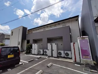 ナイル良IIの画像