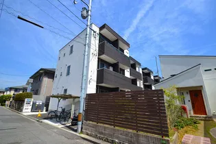 F R IIの画像