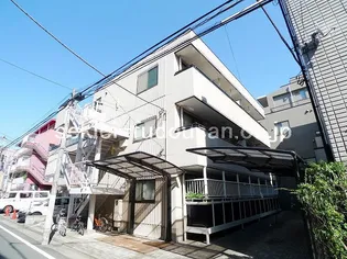 コージー桜の画像