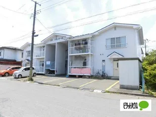 カサブランキータの画像