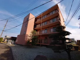 静岡県浜松市中央区根洗町【マンション】の外観