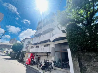 ロイヤルメゾン城山の画像