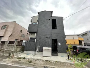 ミニステラの画像