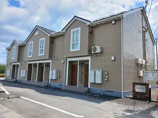 SERENO OLIVEの画像