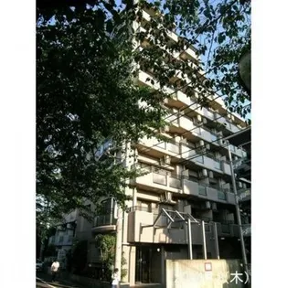 ドルチェ目白台【4階】の外観