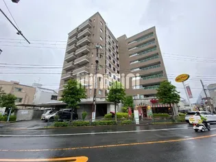 LANAI T GARDENの画像