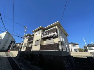 BELL COLLINEの画像