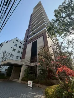 グランドメゾン薬院の画像