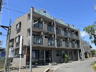 エルシリトの画像