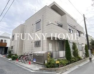 ガーデンケヤキの画像