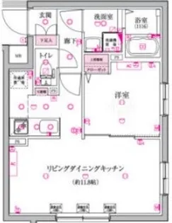 ベルシードステアー小竹向原【4階】の間取り
