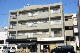 サウスライトの画像