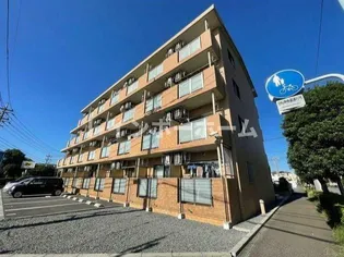 エクレールの画像