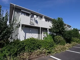 シャロームの画像