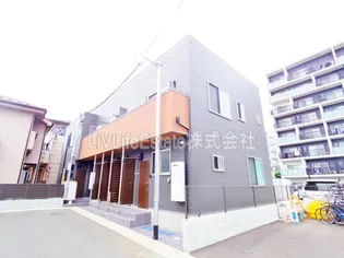 エクセランコスモの画像