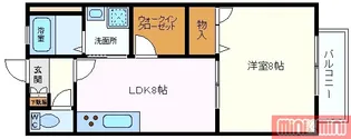 ハイツM&T【1階】の間取り