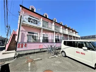 ビバリーシャロンの画像