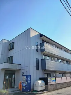 アマデウスの画像