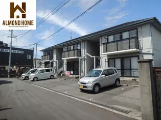 ディアスリッチの画像