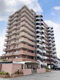 エバーグリーンパレス姉ケ崎マークタワー【11階】の外観