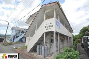 サクセスホワイトの画像