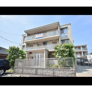 サザンクロスの画像