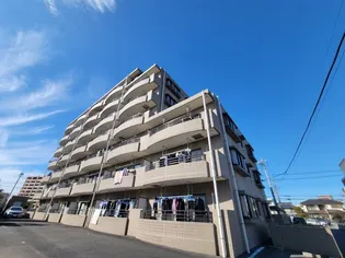 シャルマン6の画像