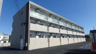 マエストロ斎宮の画像