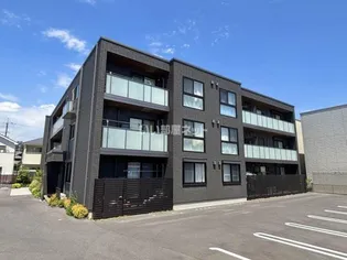 コモンドーレの画像