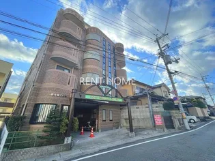 ライトハッピネスパインアイの画像