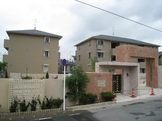 ルナ ヌーブの画像